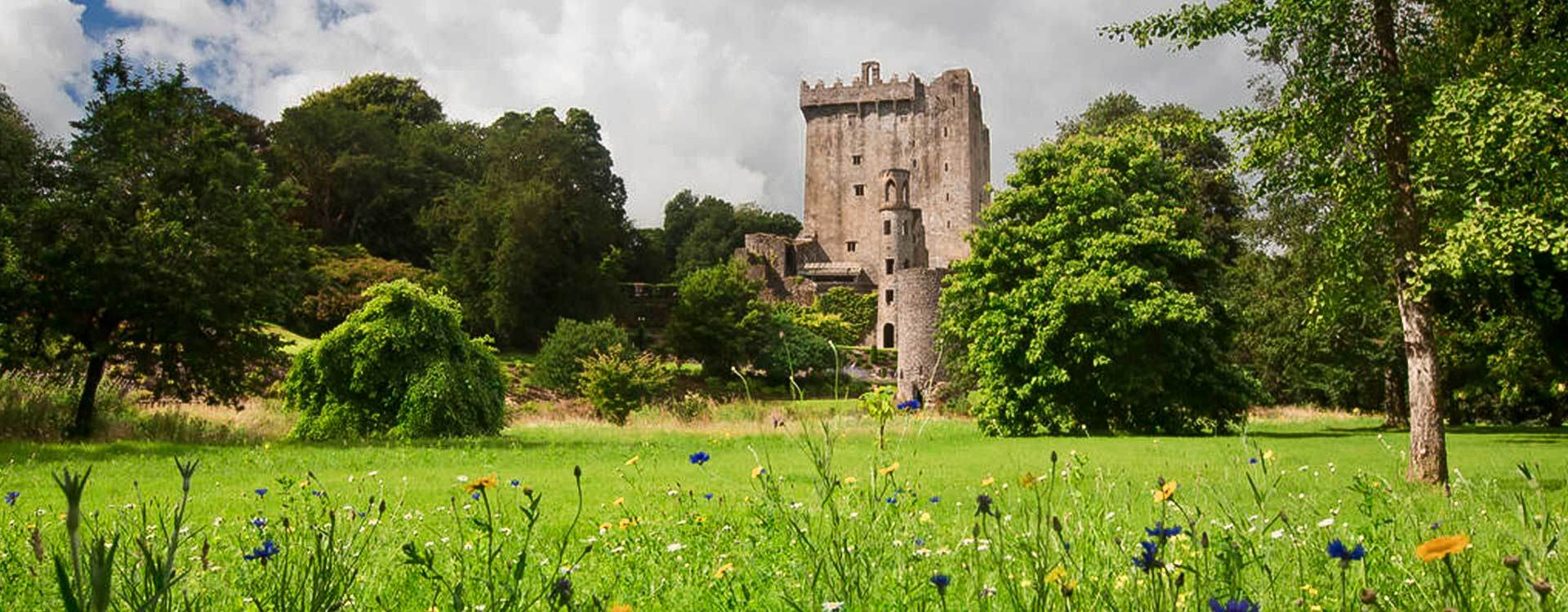 Blarney Castle Day Tour from Dublin Including Rock of Cashel & Cork City