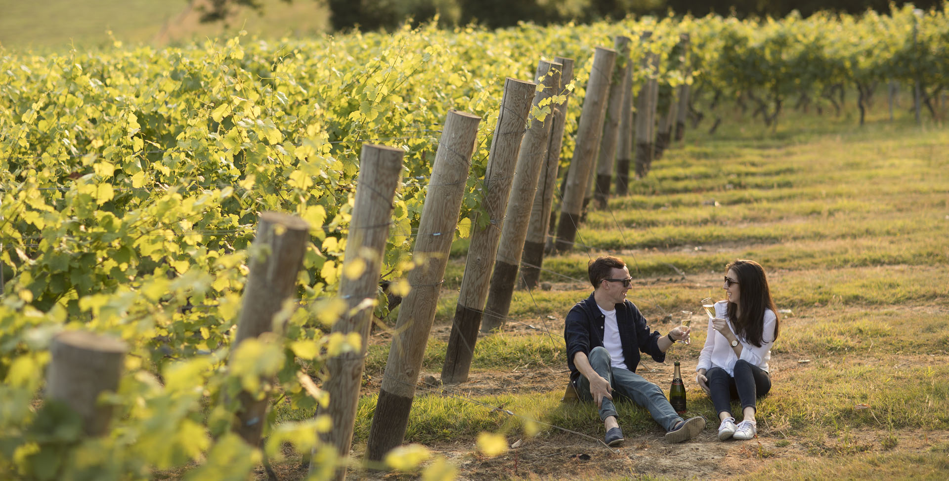 Full Day Wine Tour in Sussex and Kent