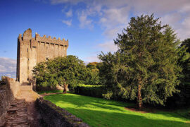 Visit Blarney Castle - Experience UK