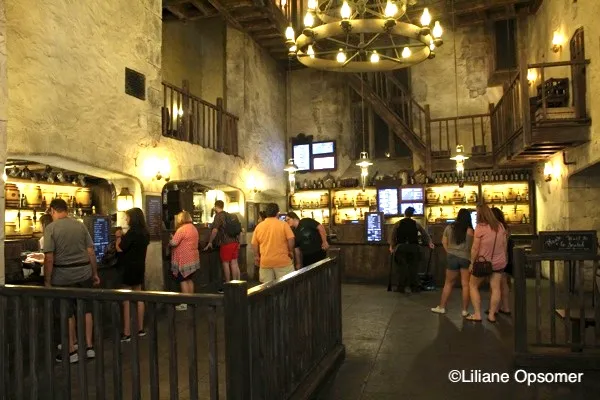 Leaky Cauldron Pub